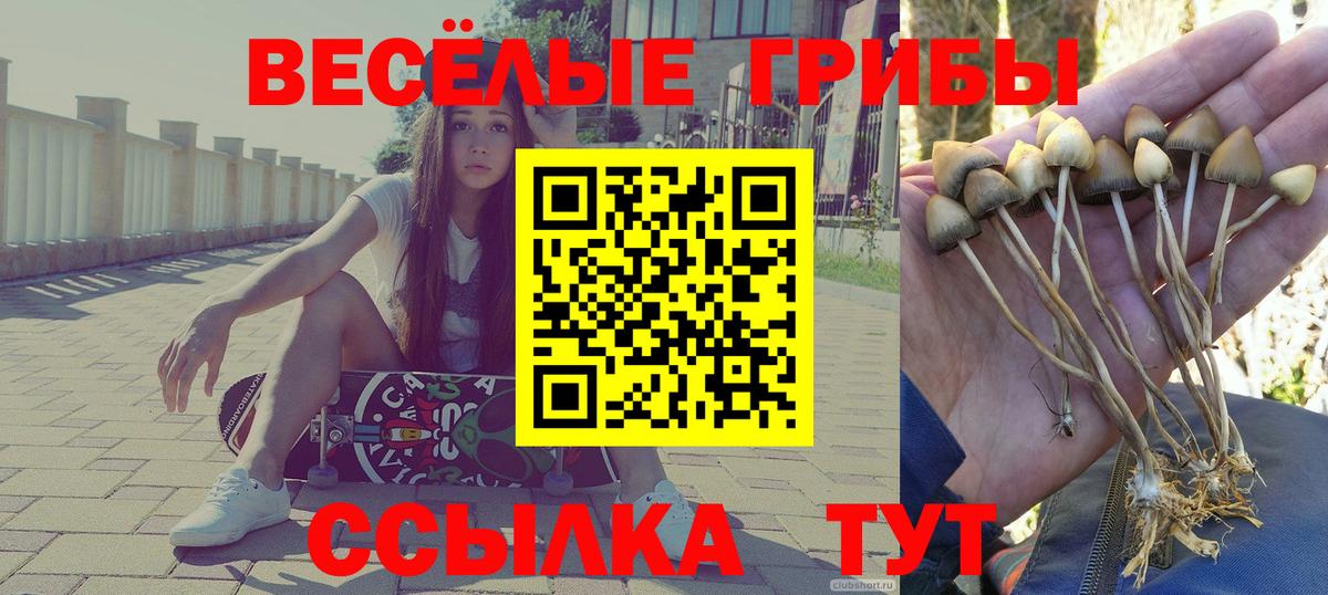 купить наркотики цена  Вход с VPN  Дюртюли  Псилоцибиновые грибы прущие грибы 