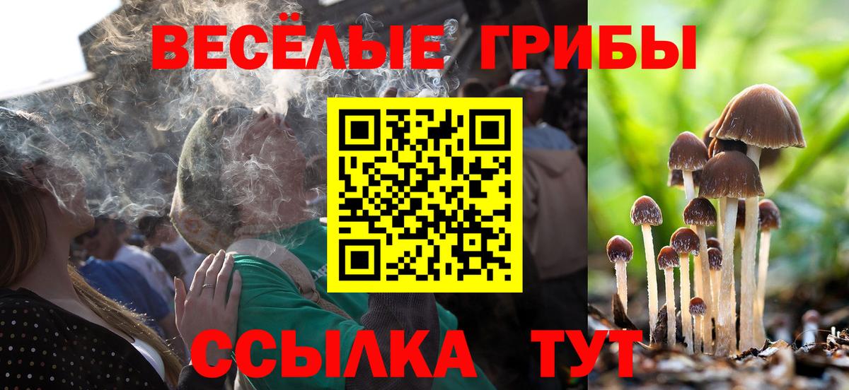 Псилоцибиновые грибы мухоморы Дюртюли